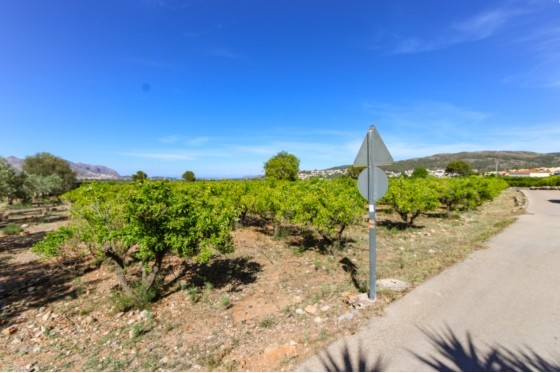 Perceel / Grond - Revente - Orba -
                Orba