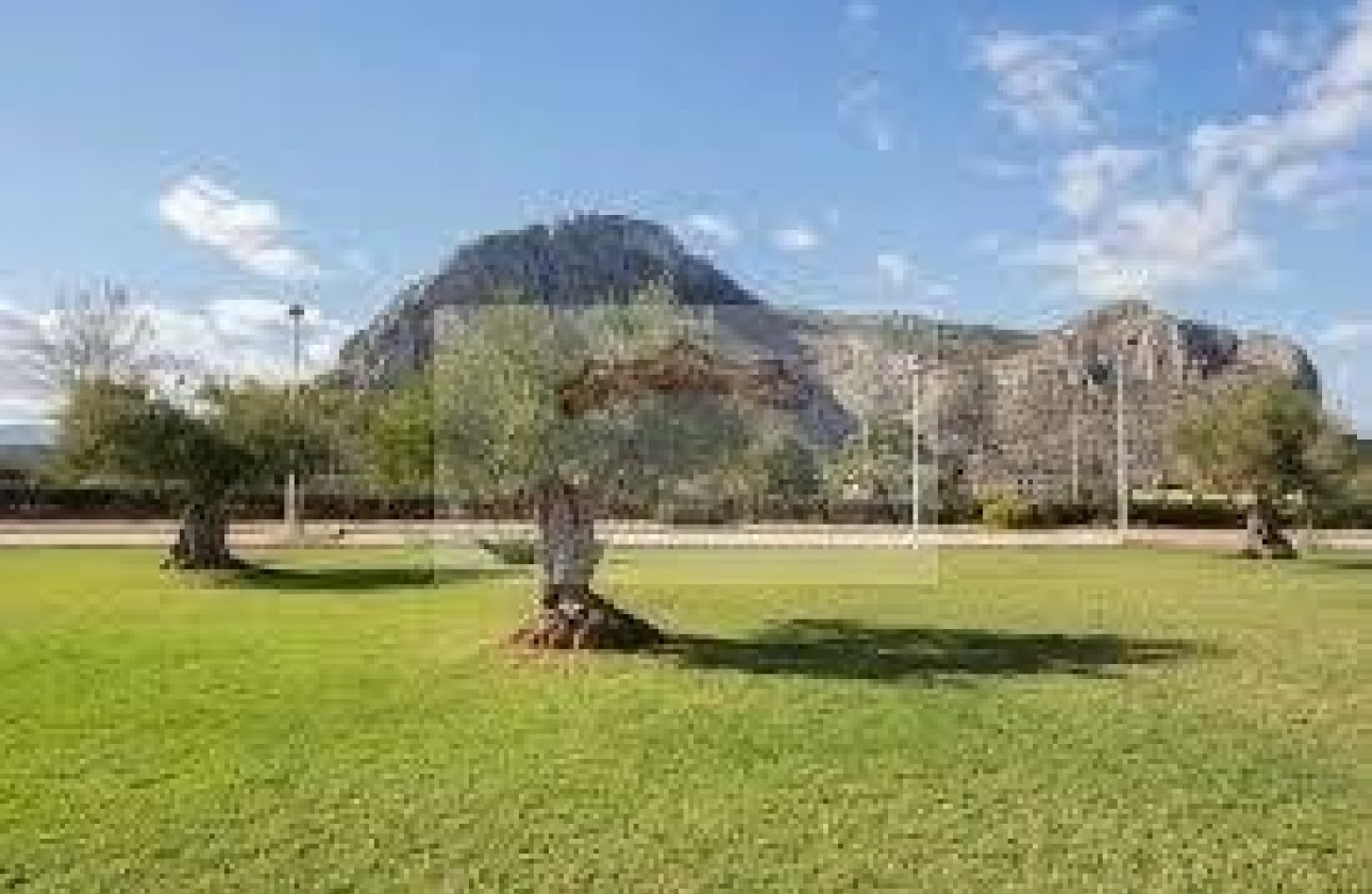 Revente - Chalet -
Vergel