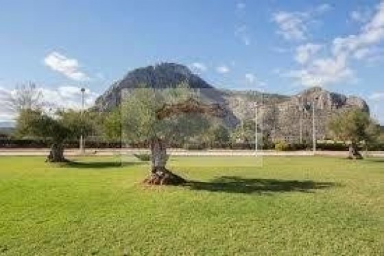 Revente - Chalet -
Vergel