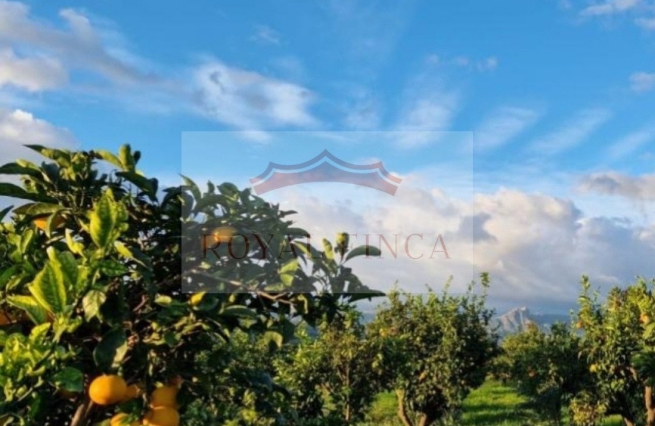 Sale - Chalet -
Orba