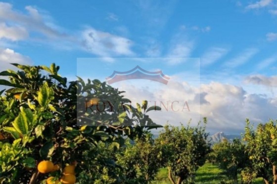 Sale - Chalet -
Orba