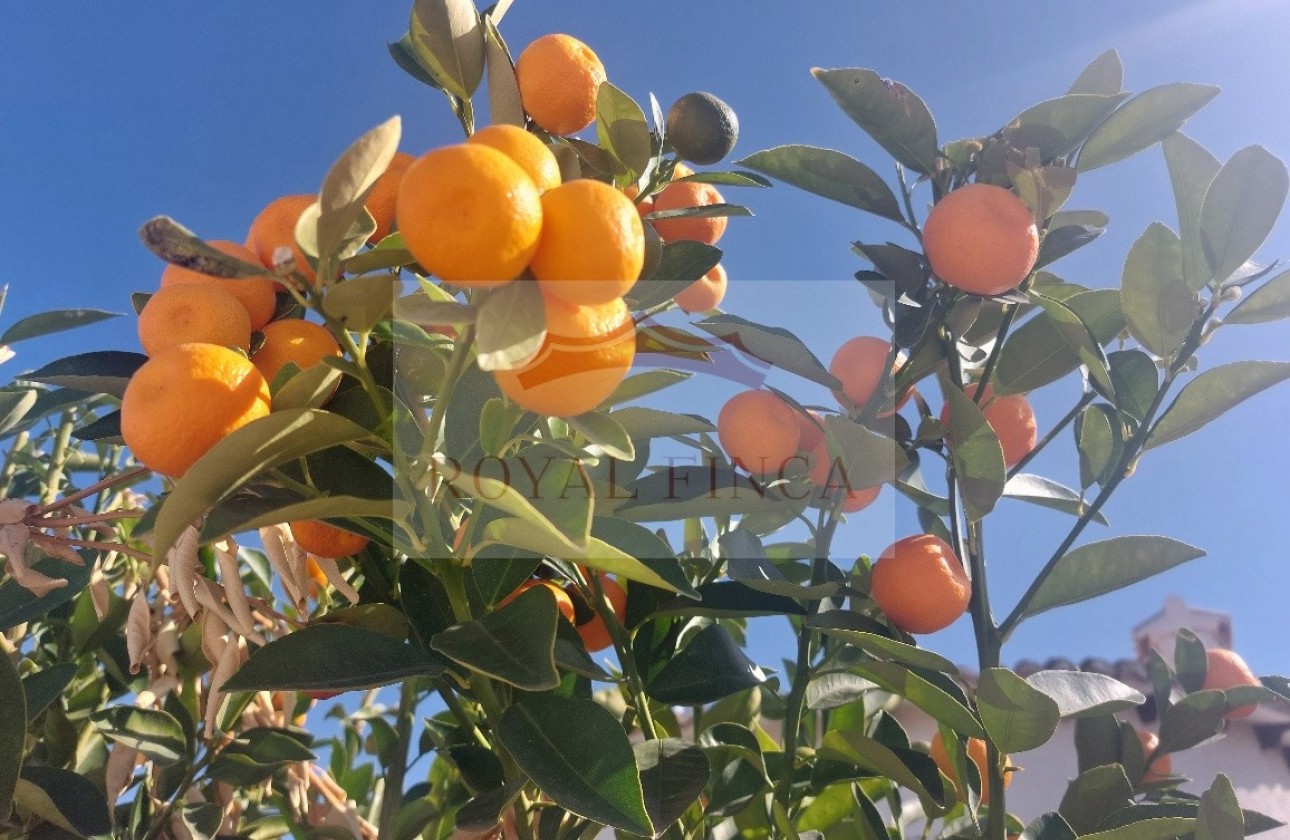 Revente - Chalet -
Els Poblets