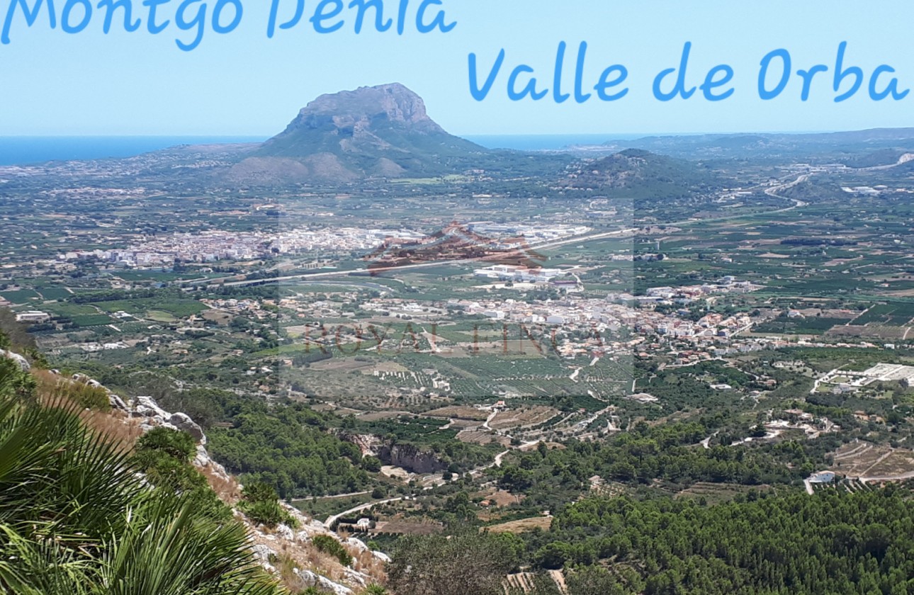 Revente - Chalet -
Orba