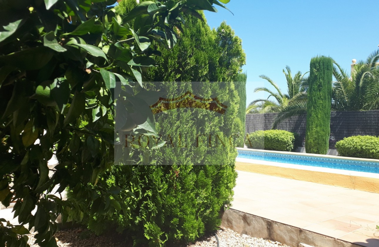 Revente - Chalet -
Orba