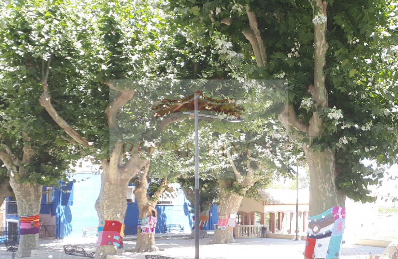 Revente - Chalet -
Orba