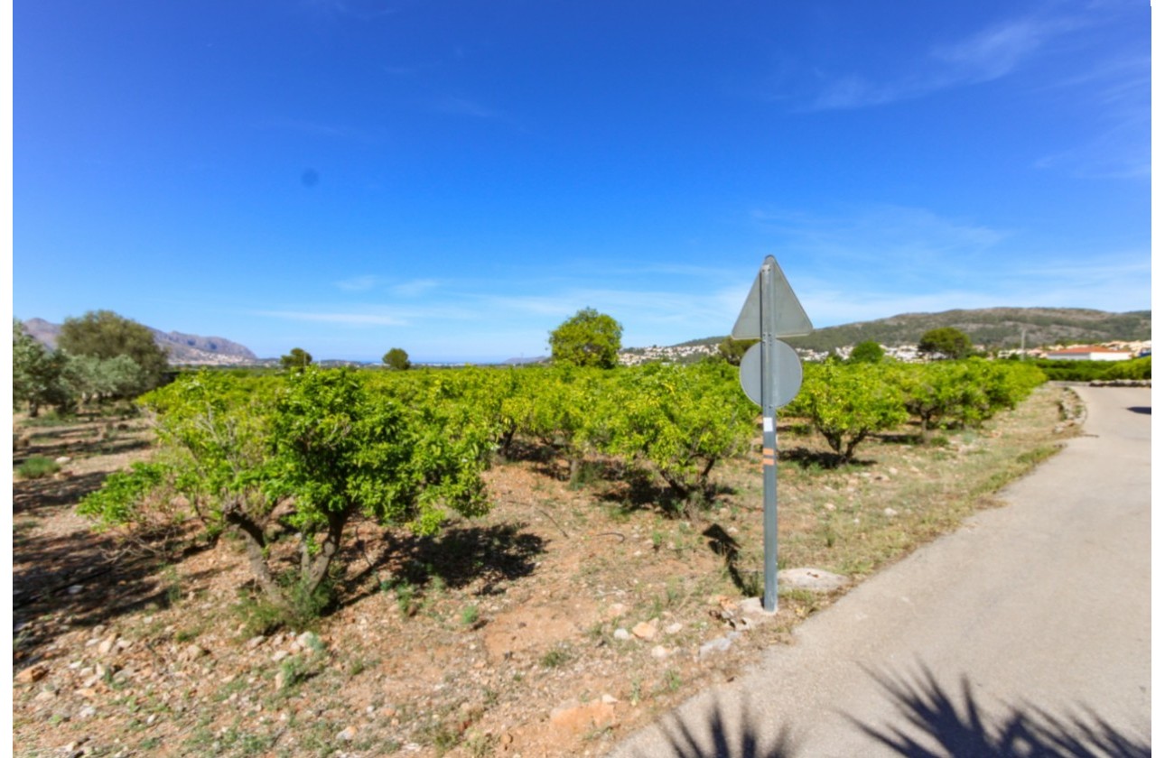 Revente - Parcelle / Terrain -
Orba