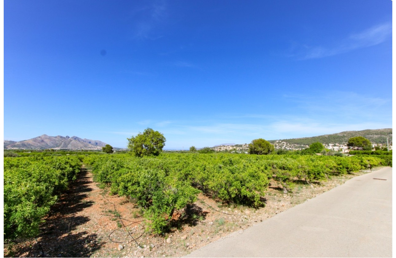 Revente - Parcelle / Terrain -
Orba