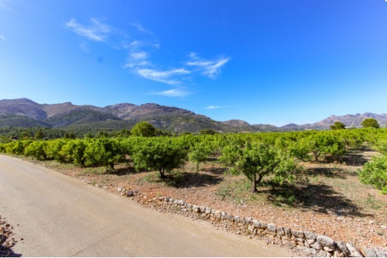 Revente - Parcelle / Terrain -
Orba