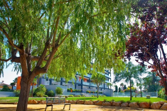 Sale - Apartment / flat -
Denia - Center