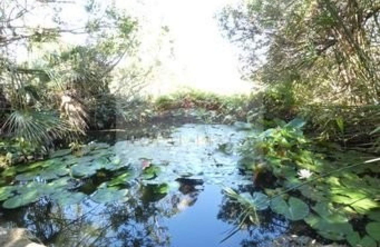 Sale - Villa / Semi semi-detached -
Denia - Devesses - Monte Pego