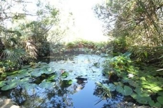 Sale - Villa / Semi semi-detached -
Denia - Devesses - Monte Pego